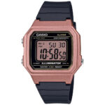 ساعت مچی CASIO مدل W-217HM-5A
